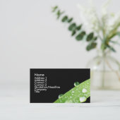 La pluie de feuille laisse tomber le carte de (Debout devant)