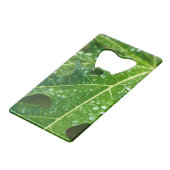 La pluie tombe sur la feuille de Papaya vert tropi (Devant Angle)