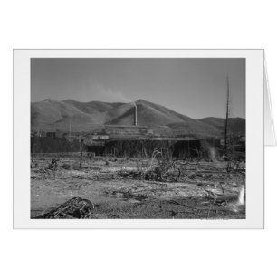 La plus grande mine de plomb au monde - Kellogg