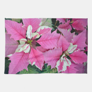 La poinsettia rose de Noël fleurit la serviette d