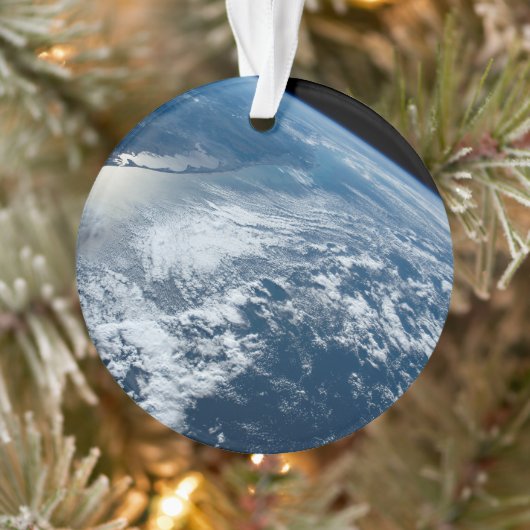 La Pointe Sud Du Brésil Bordant L'Uruguay. (Arbre)