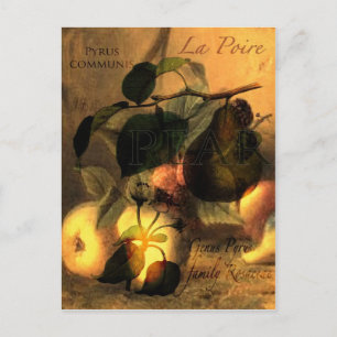 La Poire #1 Briefkaart