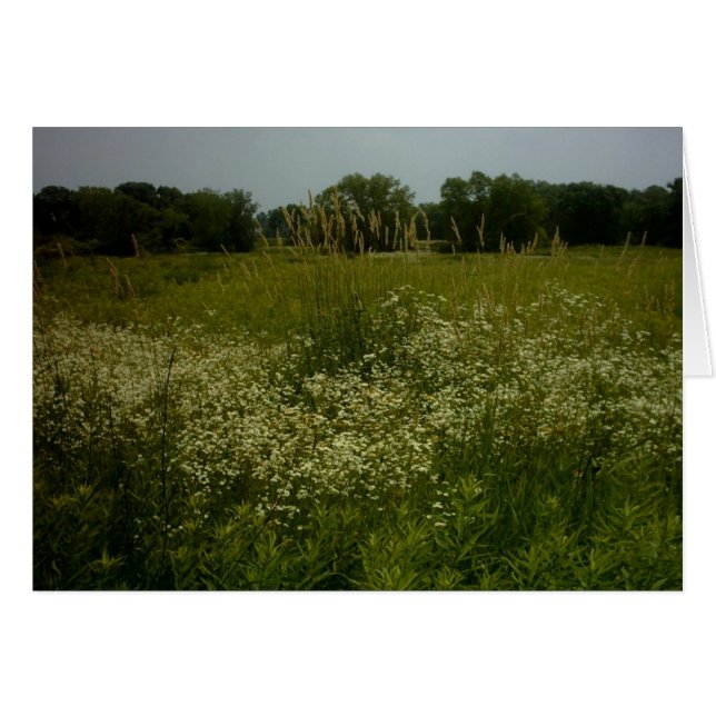 La prairie fleurit la carte (Devant horizontal)