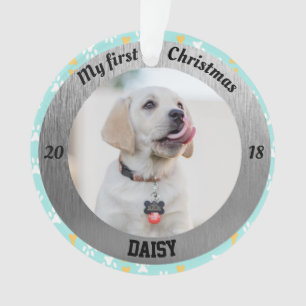 La première photo de Noël d'un chiot personnalis