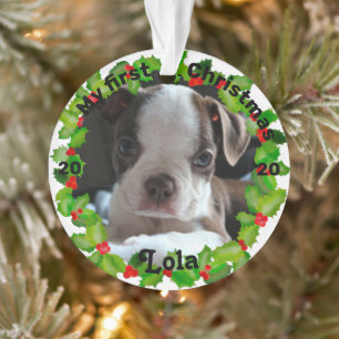 La première photo de Noël d'un chiot personnalis