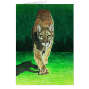 La "proie, prient" le puma