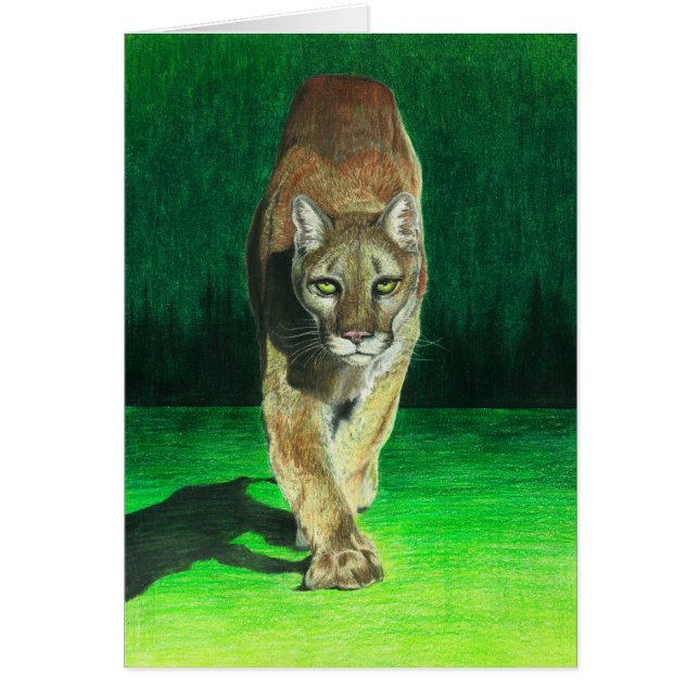 La "proie, prient" le puma (Devant)