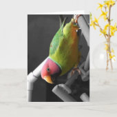 La prune a dirigé la carte de voeux de perruche (Fleur jaune)