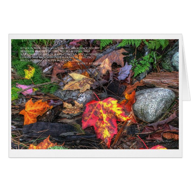 La puissance de la poésie (Devant horizontal)