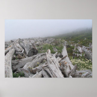 La Push, Pacific Coast - WA Poster
