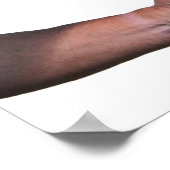 La race n'est pas une affiche de course (Coin)