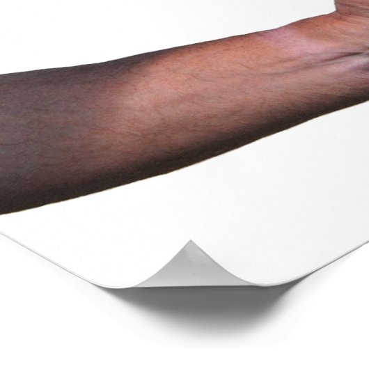 La race n'est pas une affiche de course (Coin)