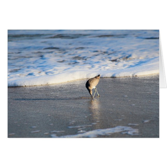 La recherche intéressante de Willet (Devant horizontal)