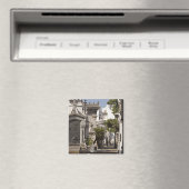 La Recoleta begraafplaats in Buenos Aires Magneet (Insitu (Vaatwasser))