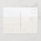 La Rioja, Spain Vineyard Landscape Briefkaart (Achterkant)