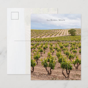 La Rioja, Spanje Wijngaard Landschap Briefkaart
