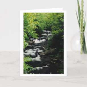 La rivière chauve cascade la carte de voeux