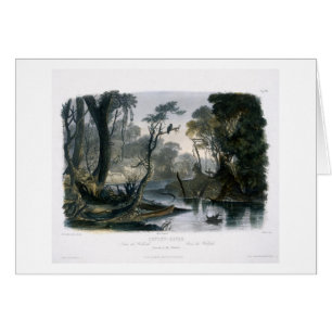La rivière de coupure, branche du Wabash, plaquen