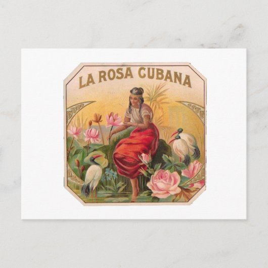La Rosa Cubana Diseño  Cuba Briefkaart (Voorkant)