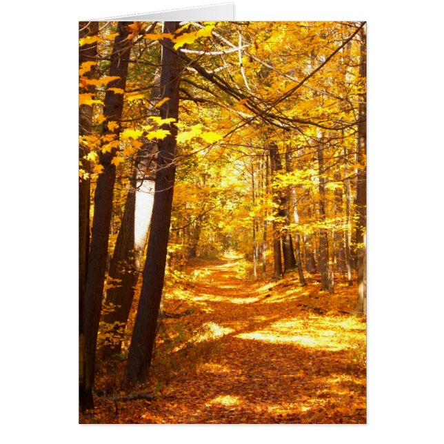 La route non prise (Devant)