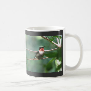 La Rubis-gorge flotte tasse