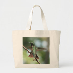 La Rubis-gorge prend le sac d'aile