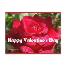 La Saint-Valentin du rose | Carte postale Blue Bea