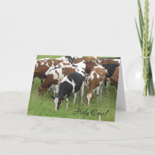 La Sainte Vache C'est ta carte d'anniversaire