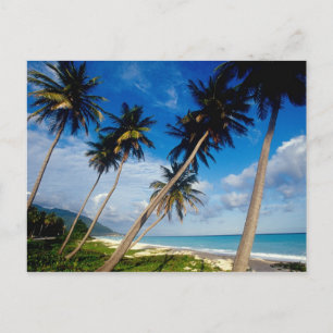 La Samana schiereiland, Dominicaanse Republiek, Briefkaart