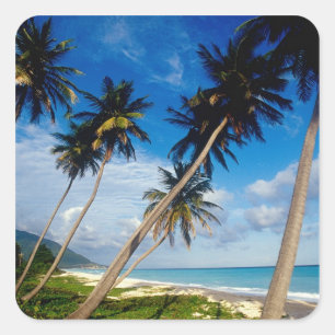 La Samana schiereiland, Dominicaanse Republiek, Vierkante Sticker