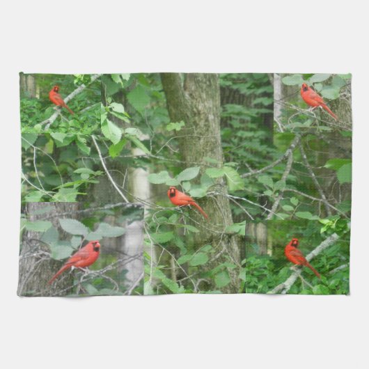 LA serviette ROUGE CARDINAL (Horizontal)