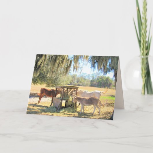 La station d'alimentation - Chevaux et carte de vo (Devant)