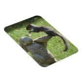 La statue de Hungry Squerrl et Bunny Magnet (Côté Droit)