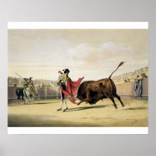 La Suerte de la Capa, 1865 (kleur litho) Poster