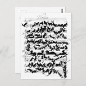 La symphonie des chats briefkaart (Voorkant / Achterkant)