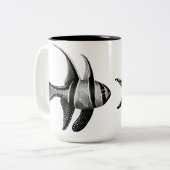 La tasse de Cardinalfish de Banggai (Devant gauche)