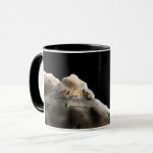 La tasse de garçon de berger (Devant gauche)