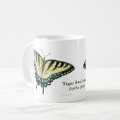La tasse de papillon de machaon de tigre (Devant gauche)