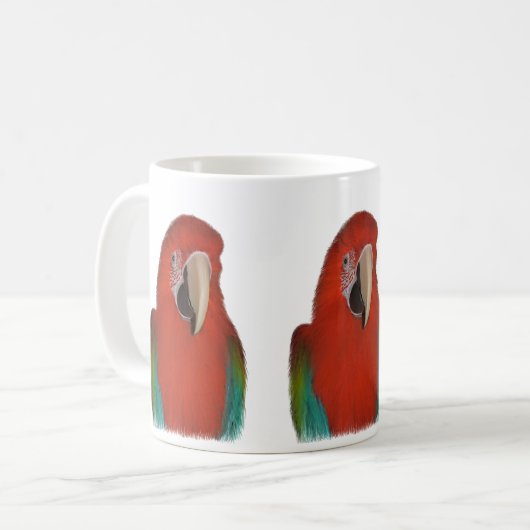 La tasse de perroquet (Devant gauche)