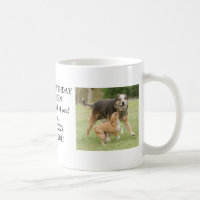 La tasse de Stephen