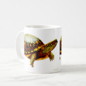 La tasse de tortue de boîte (Devant gauche)