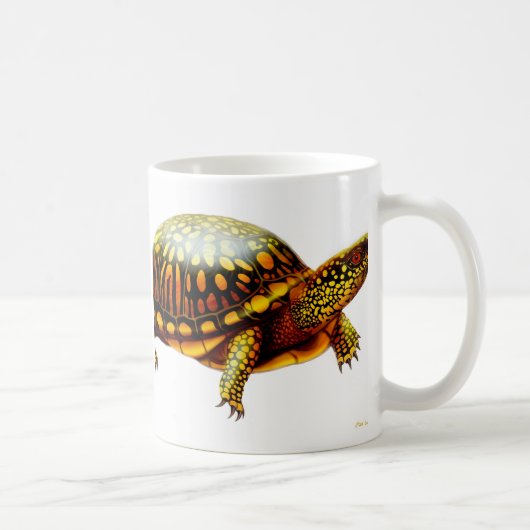 La tasse de tortue de boîte (Droite)