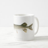 La tasse du pêcheur de brochet (Devant droit)
