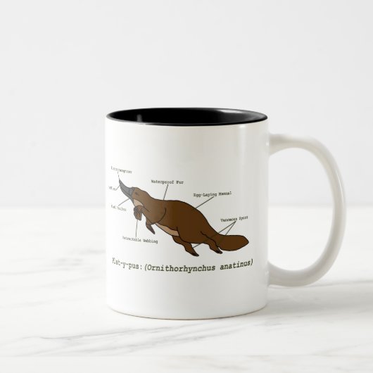 La tasse extraordinaire d'ornithorynque (Droit)
