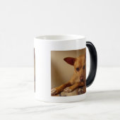 La tasse II de Bubba (Devant droit)