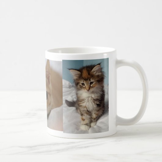 La tasse la plus mignonne (Droite)