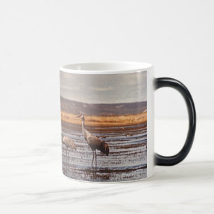 La tasse Morphing/Sandhill tend le cou @ Innoko