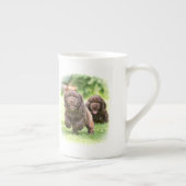 La tasse "regard de porcelaine tendre de DIBBLE il (Droite)