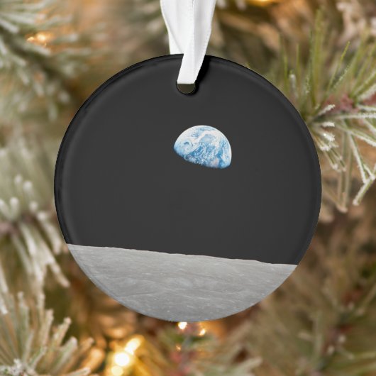 La Terre S'Élève Au-Dessus De L'Horizon Lunaire. (Arbre)