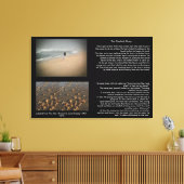 La toile d'histoire de Starfish (Insitu(Salon))